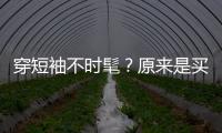 穿短袖不时髦？原来是买错款式了！