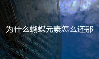 为什么蝴蝶元素怎么还那么火？